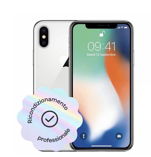 Apple iphone 256 argento - x,
